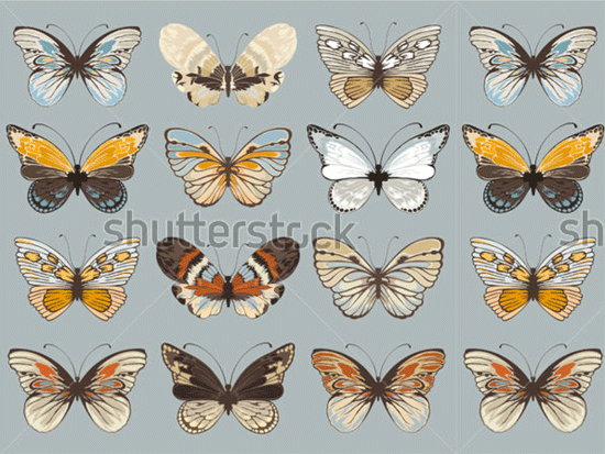 retro collection vector butterflies