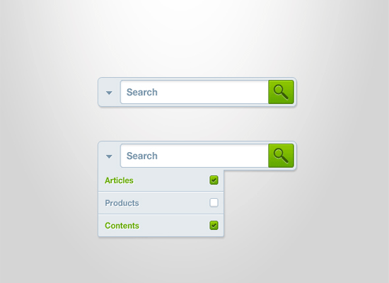 search box design examples