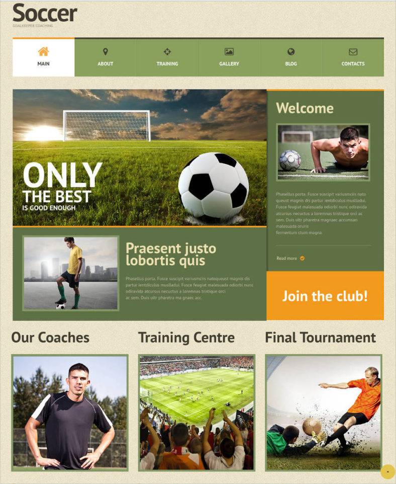 28+ Soccer Club Website Themes & Templates