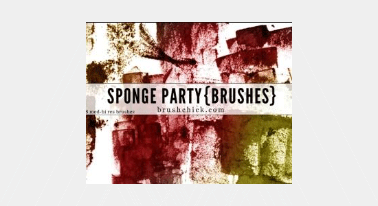 sponge party