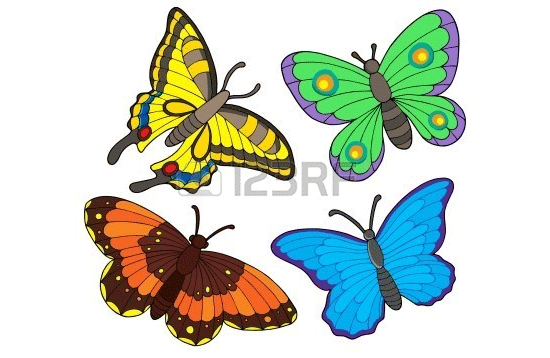vector butterfly collection