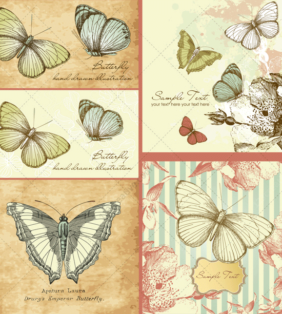 vintage butterfly