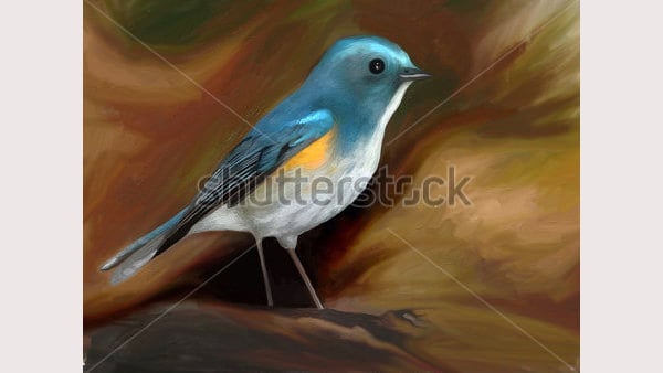 bird painting digital painting