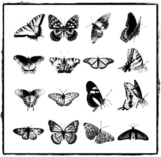 grunge-butterfly