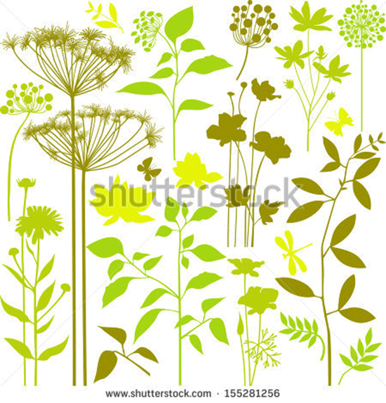 set of green plants