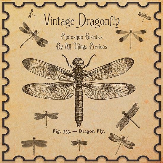 vintage dragonfly brushes