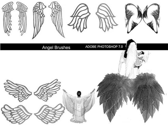 angel wings photoshop brushes free download