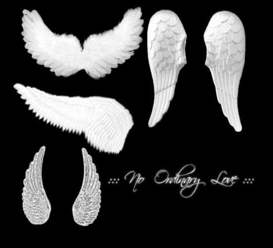 angel wings photoshop brushes free download