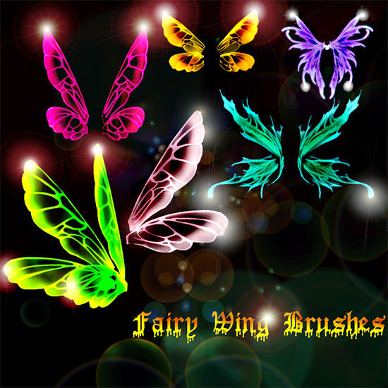 belladona fairy fairy wings