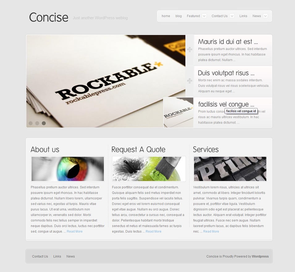 concise business and portfolio template