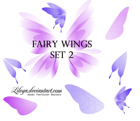 fairy wings set