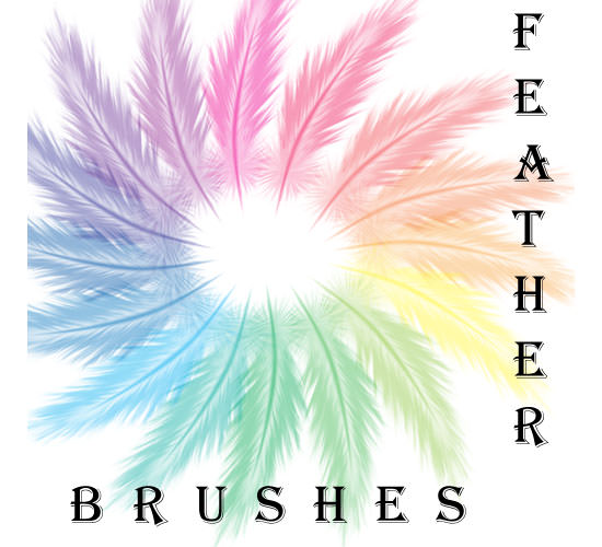feather brushes