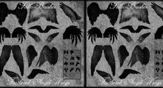 feathered angel wings brushes