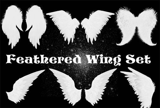 feathered wing set