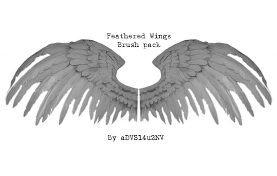 angel wings photoshop brush free download