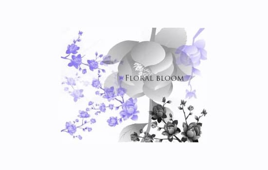 floral bloom