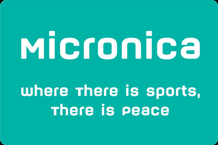 micronica 2010