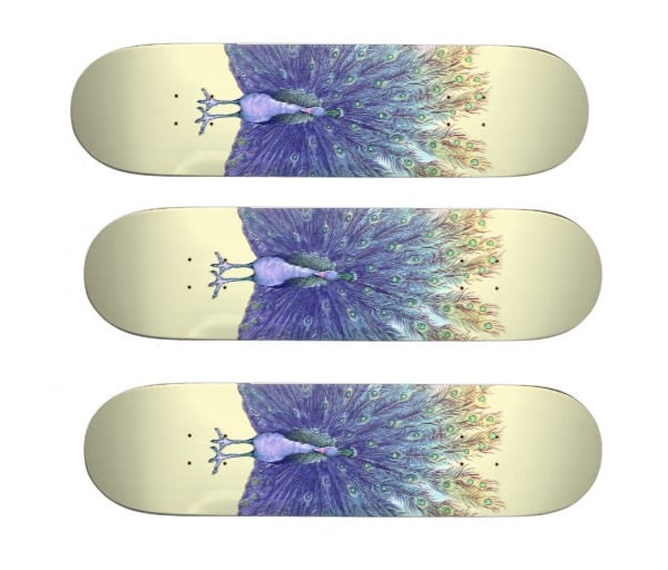 peacock skateboard deck