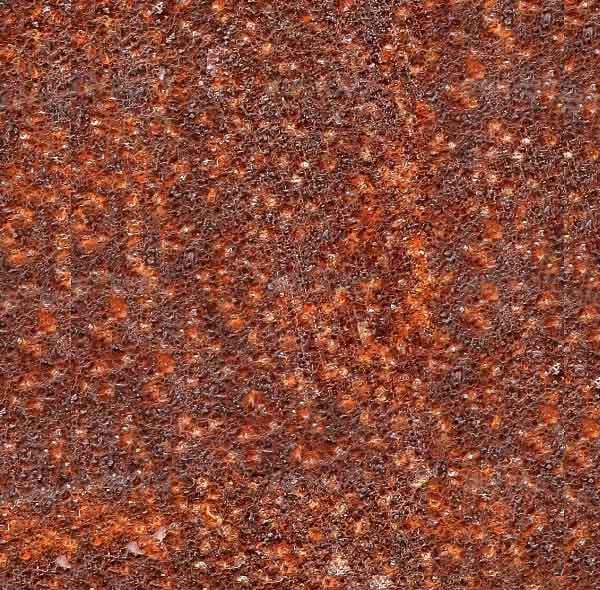 rusted metal texture