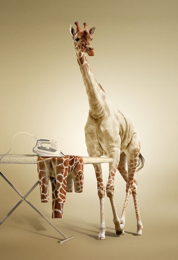 undress a giraffe in photoshop
