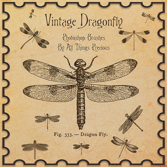 vintage-dragonfly-brushes