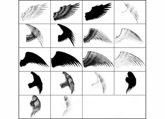 angel wing brush