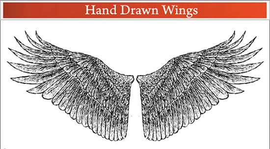 hand drawn wings