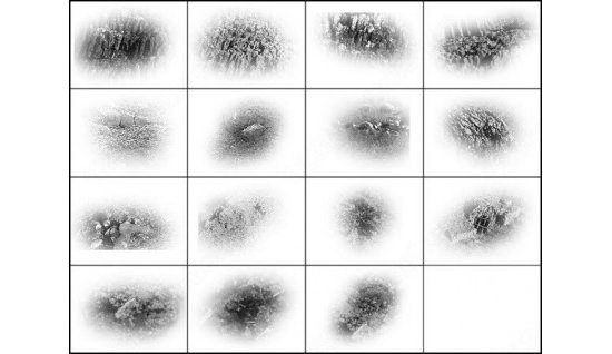 download sparkle brush photoshop