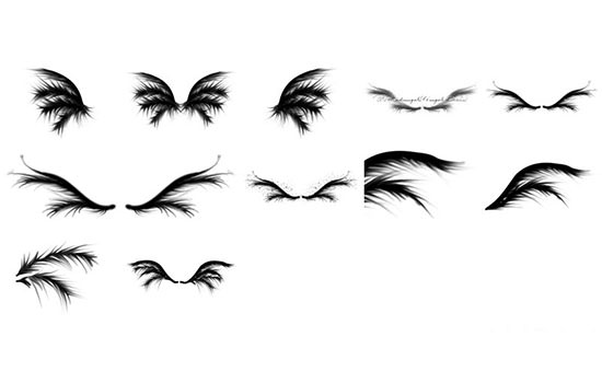 download brush photoshop cs4 wings