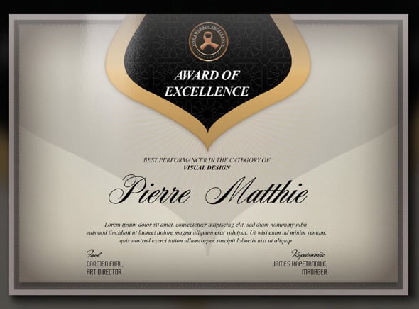multipurpose modern certificate3