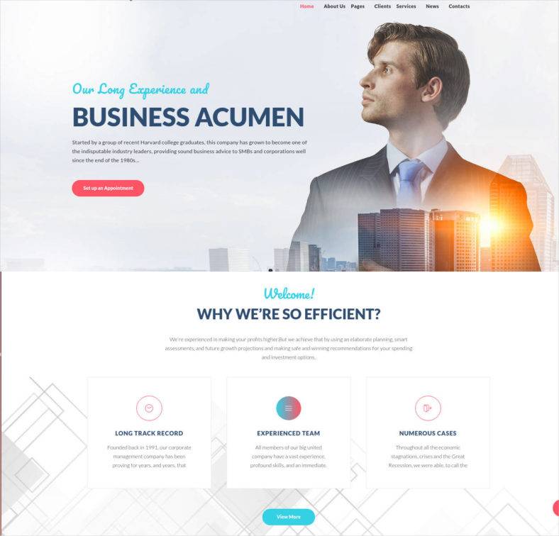 17 Best Financial Advisor Website Templates 