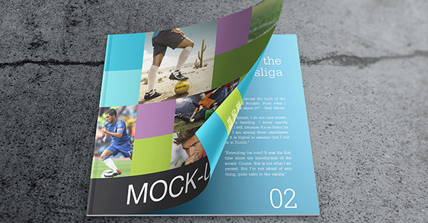 catalog mock up