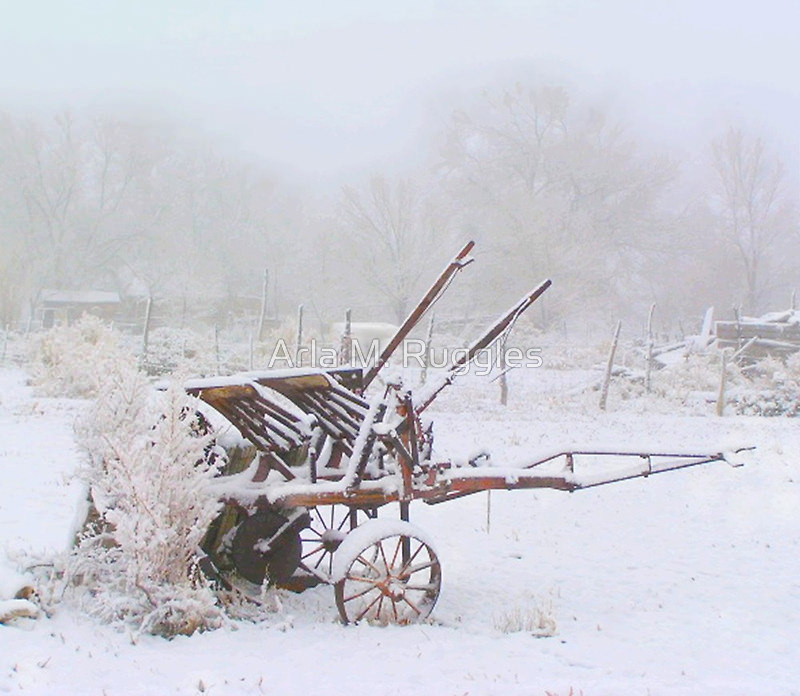 homestead winter