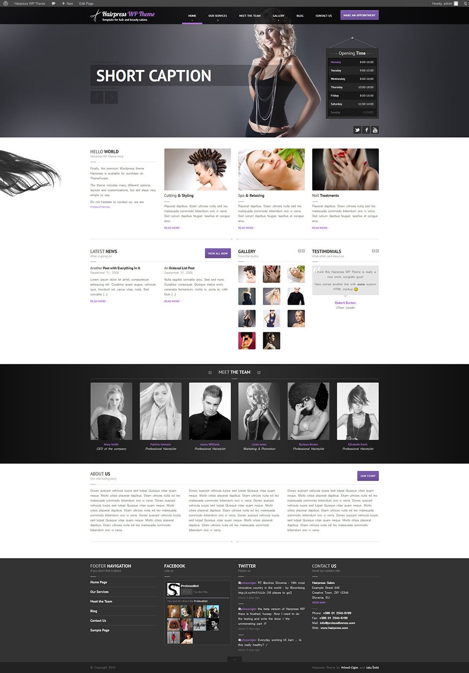 17+ Professional Website Themes & Templates for Hairstylists | Free ...