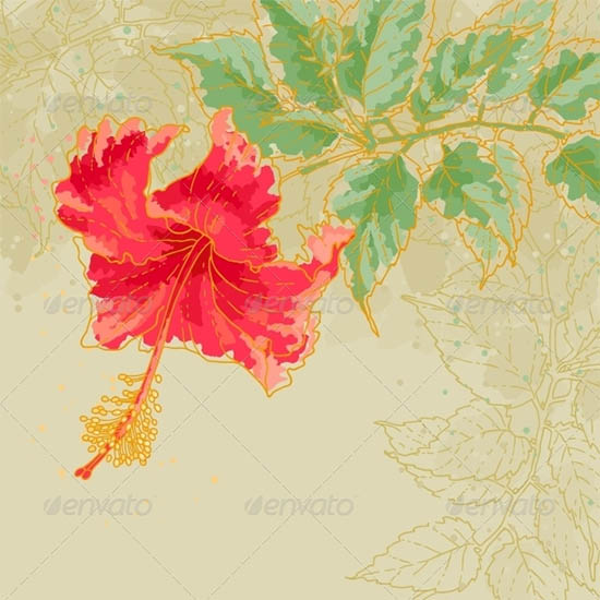 hibiscus flower