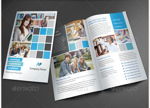 modern-education-brochure