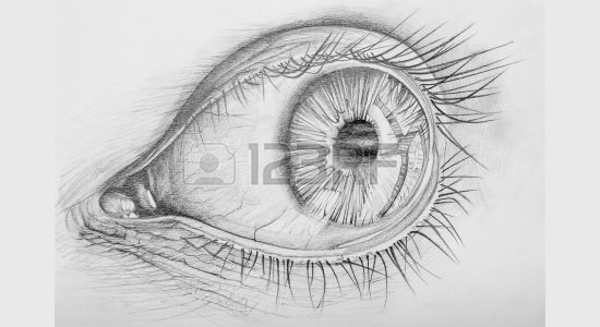 pencil drawn anatomy of a human eye