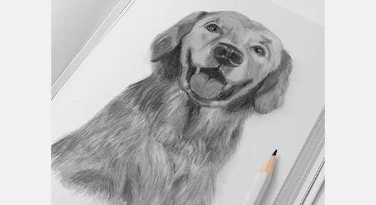 Featured image of post Cool Drawings Beautiful And Easy Pencil Drawing / For any query feel free to ask.thank you for.