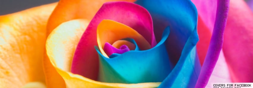 rainbow flower facebook cover