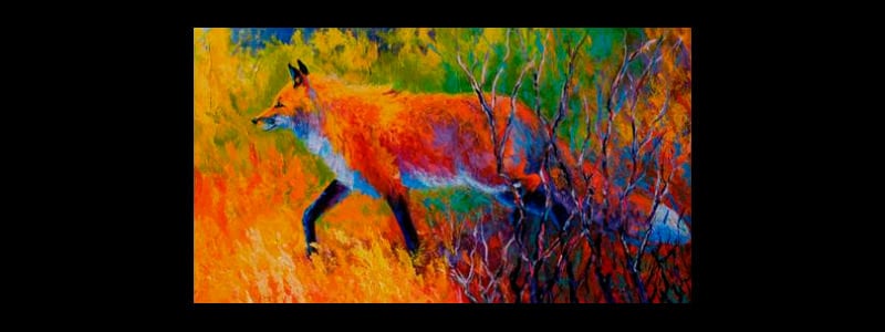 red fox canvas print