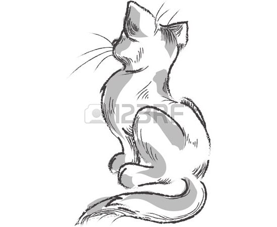 hand drawn cat