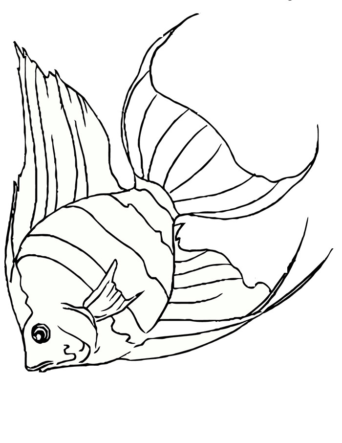 65 Sea Creature Templates Printable Crafts Colouring Pages Free 