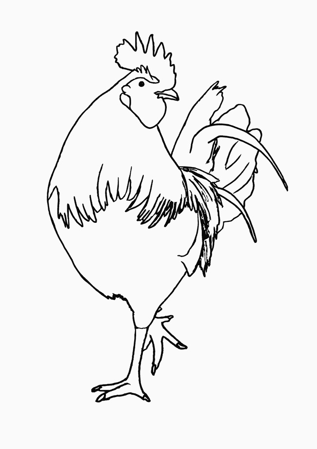 Chicken Template - Animal Templates