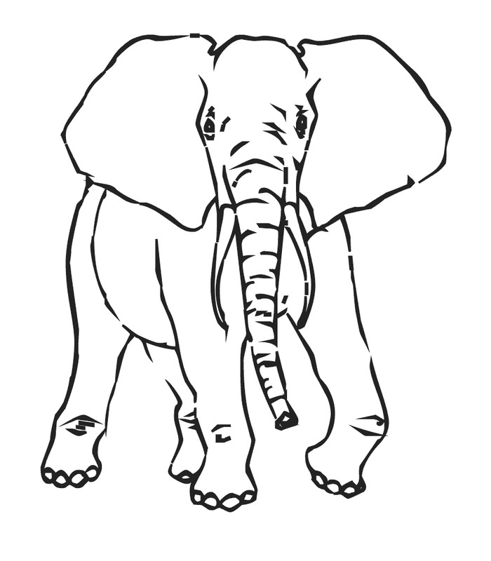 Elephant Template - Animal Templates
