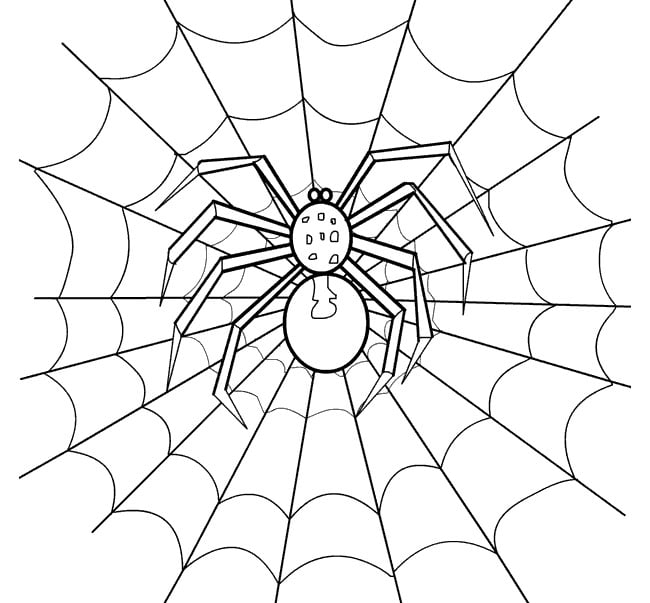 Spider Shape Template - 56+ Crafts & Colouring Pages