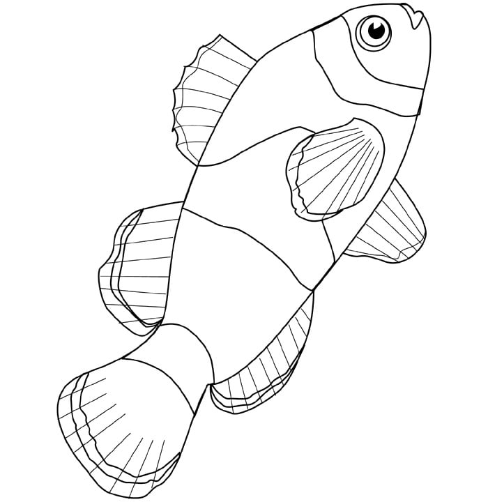 65+ Sea Creature Templates Printable Crafts & Colouring Pages! Free
