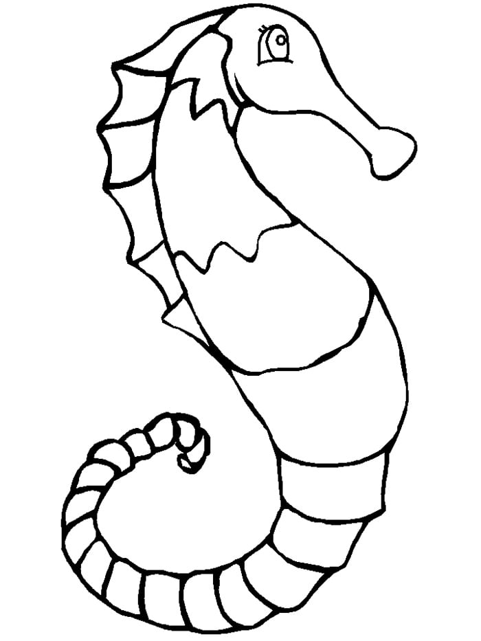 65+ Sea Creature Templates - Printable Crafts & Colouring Pages!