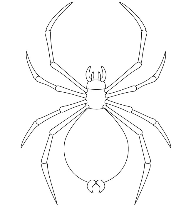 spider-shape-template-55-crafts-colouring-pages-free-premium