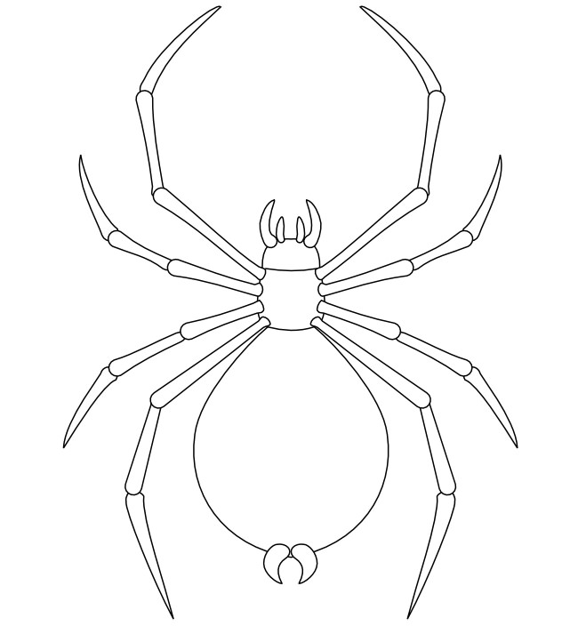 Spider Shape Template 55 Crafts Colouring Pages Free Premium