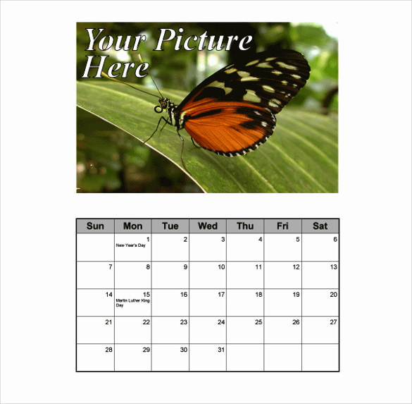 monthly portrait calendar with picture